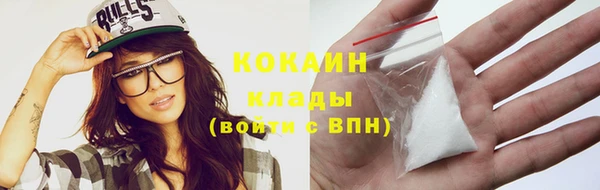 индика Михайловка