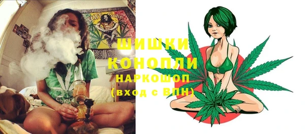 дмт Мегион