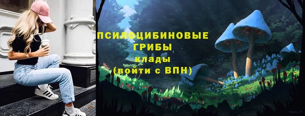 хмурый Наволоки