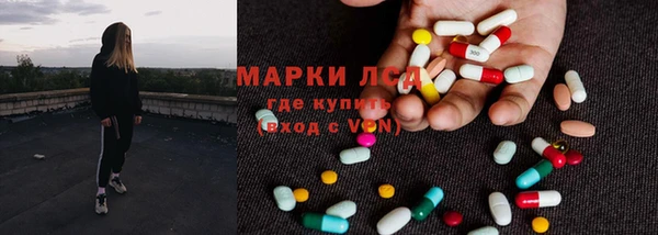 индика Михайловка