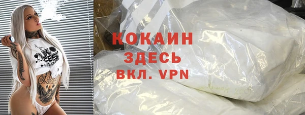 дмт Мегион